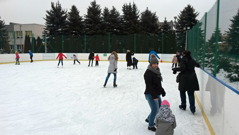 Biały orlik na rzeszowskiej Baran&oacute;wce